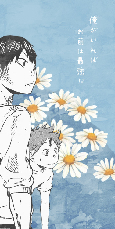 turtleconstellation: Some haikyuu ships + flowers for your lockscreens! (Might do a few solo charact