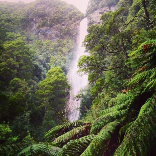 oceaniatropics: Montezuma Falls, Strahan, Tasmania, Australia