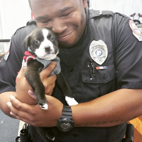 jumpingjacktrash: dharmagun: menandtheirdogs: This Cop Was Just Doing His Job When He Found His Fore