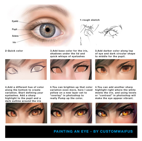 drawingden:  Painting an Eye - Tutorial (Free To Use) by customwaifus  
