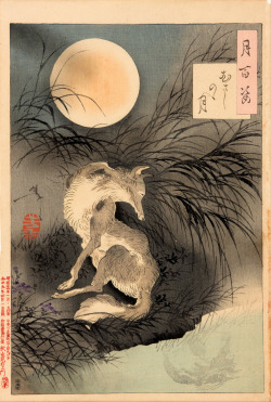 huariqueje:  The Moon on Musashi Plain   -   Tsukioka  Yoshitoshi Japanese 1839-1892 Serie “One Hundred aspects of the Moon” 