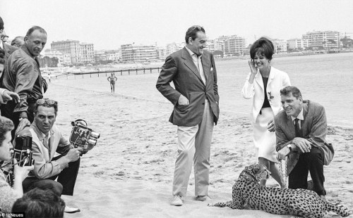 24hoursinthelifeofawoman: Claudia Cardinale,  director Luchino Visconti and Burt Lancaster presented