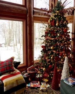 wintercozy:By whitearrowshome