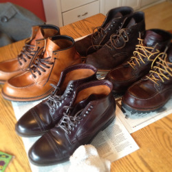 johnfischer:  Shoes shined & waterproofed