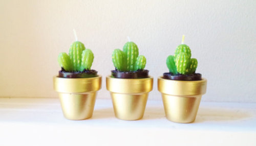 littlealienproducts:cactus candles // $20