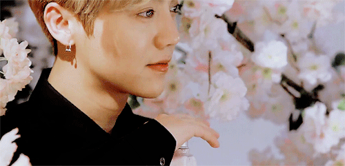 7thvelvet:luhan x L'Occitane en Provence