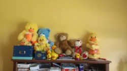 babiefaeries:  My stuffies I love so much.  So many duckies!! I love it 😍! Your stuffies are all adorable and seeing so many ducks just makes me happy ☺️.  Thanks for sharing!