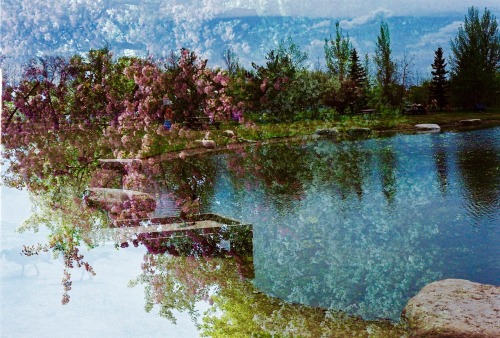 f0rm: Untitled - Will Kaufhold