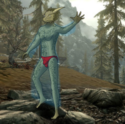 “I’ll just cast an invisibility spell to cover-?!”“By the Divines, there’s an argonian by the rocks in just his undies!”“Oh no, I casted it on my clothes! How do I reverse this?!”