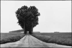 blackpicture:Henri Cartier-Bresson Brie.