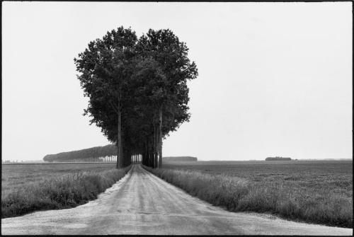 blackpicture:Henri Cartier-Bresson Brie. France (1968)