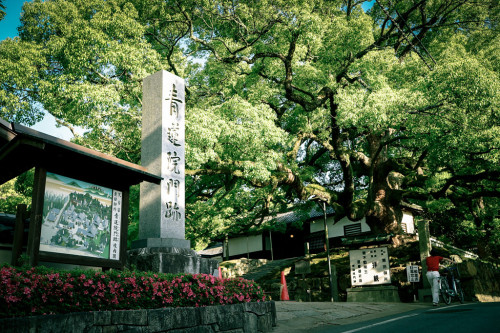 The entrance of Shoren-in (青蓮院) in Kyoto (京都) Japan by TOTORORO.ROROVia Flickr:The entrance of Shore