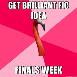 fuckyeahfanficflamingo:  [GET BRILLIANT FIC IDEA (Fanfic Flamingo) FINALS WEEK]  This is basically me writing Late Breaking Developments a few weeks ago.