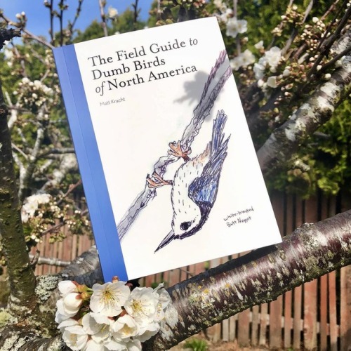 YESSSSS! Spring is here, and so is The Field Guide to Dumb Birds of North America.Available where yo