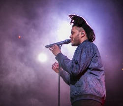 theweekndgallery:  Photos [2/2] The Weeknd