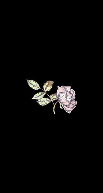 lockandhomescreens:♡ rose drawing lock & home screens♡ please like/reblog if you download!