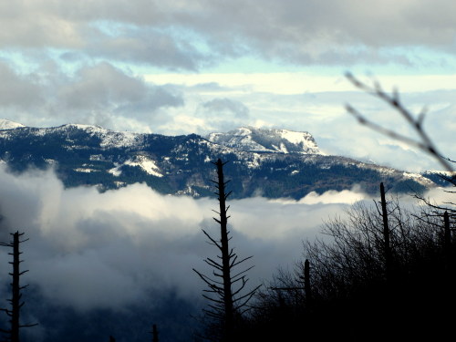  Columbia River Gorge, Oregon December 2012 