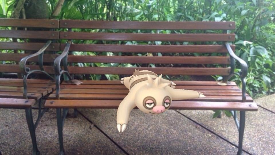 pocketconsthargic:Sleepy boi