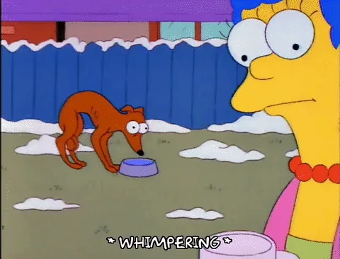 In A Bold Move, Someone Goes Into A Televised Debate Where Important Questions Are Asked In Order To