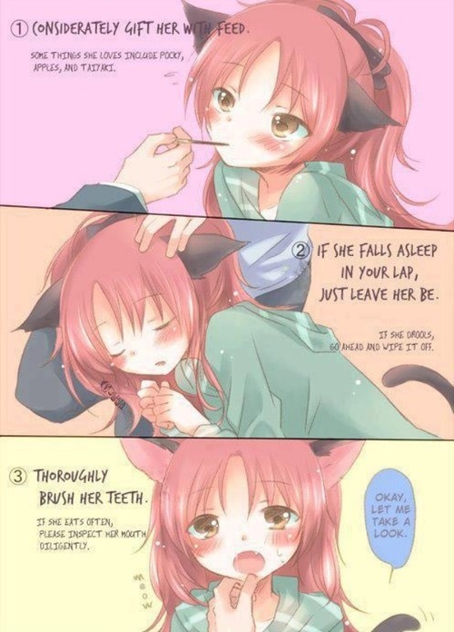 kittenseieki:  fullmetalhead:  How to take care of your kitten~   