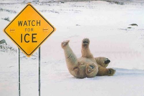 a-beautiful-soul:  Was pretty much me a couple weeks ago.. ouchy!!