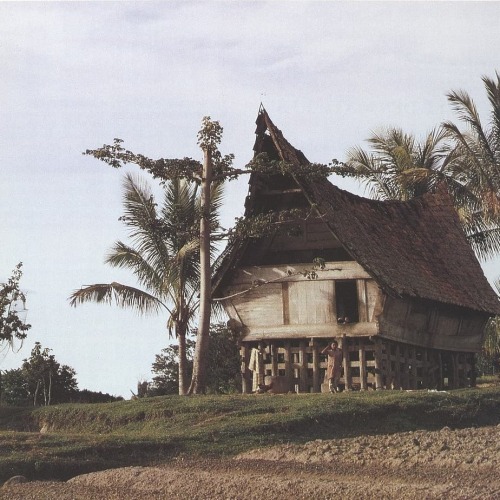 unsubconscious:  Traditional Batak house,