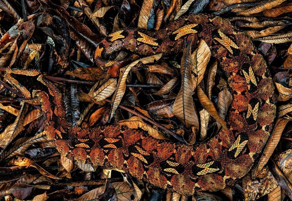 nubbsgalore:  &ldquo;dead leaves and the dirty ground, when i don’t know you’re