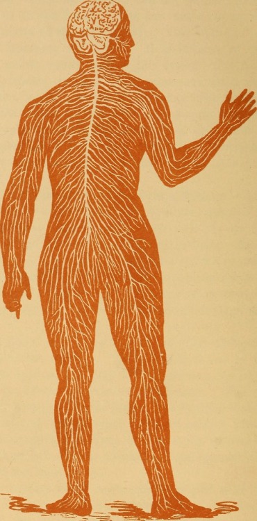 ignacioararipe: deathandmysticism: The eclectic guide to health, 1887 I Sing The Body Electric.