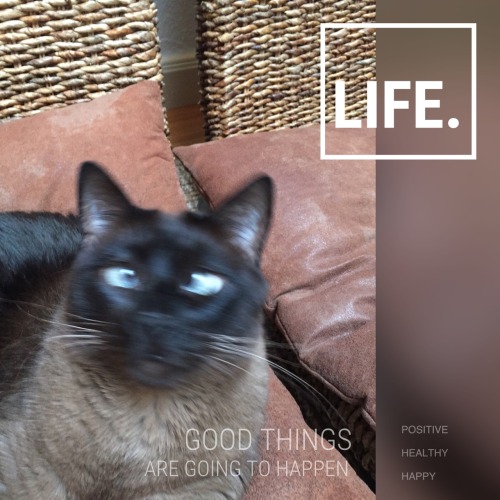 Lucky Life