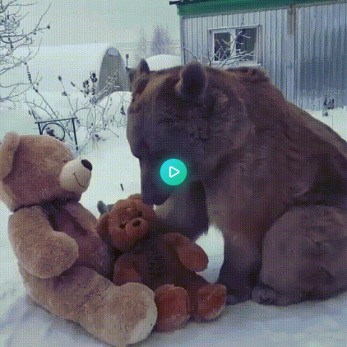 alltheadorables