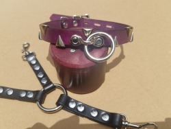 dominionleathershop:A customers order is complete.  A collar with teeth in Deep Violet with a 3 point tether with spring clips!