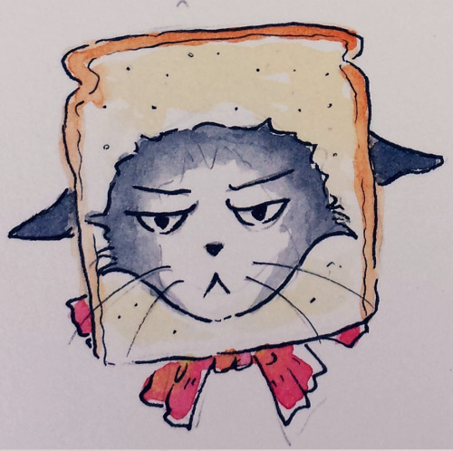 flourish-of-steel:a study in cat emotions