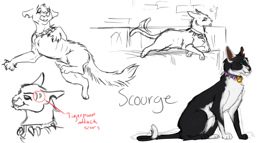 older art of my hypothetical wc rewrite where scourge is a little bitch 