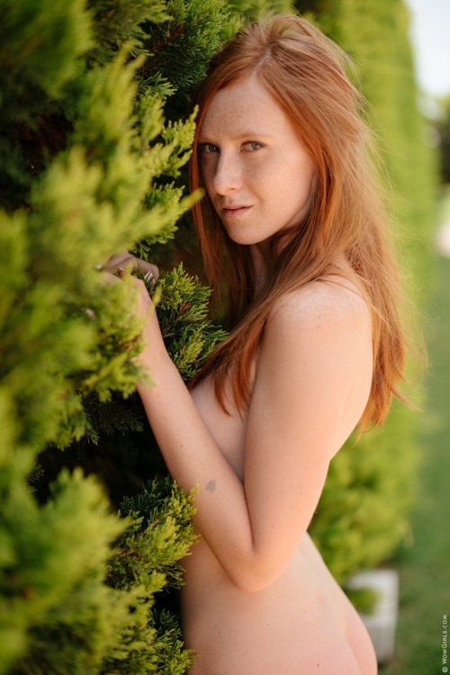 lindasweetxxx: Linda Sweet