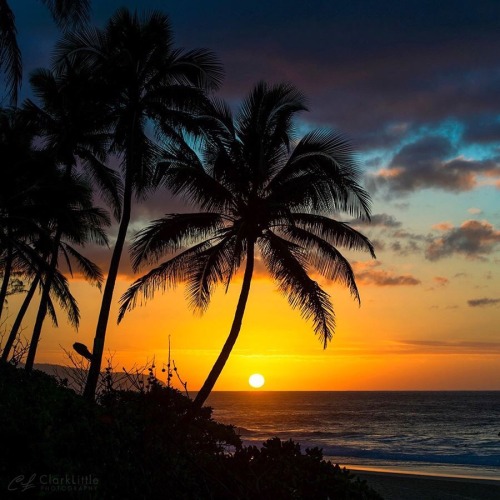 sonsofkerouac: Sunset in Oahu last night… Photo: Clark Little