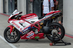 ducatibikes:  Ducati Speed Days at the Red
