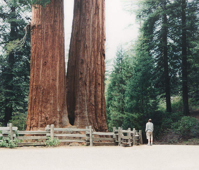 justhewayimfeeling:  . by alex cretey systermans on Flickr. 