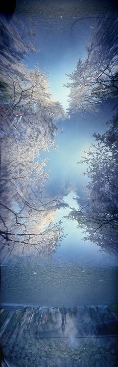 zekkei-beautiful-scenery:Cherry blossoms in Japan  Sakura  桜咲く日本 世界の絶景 Zekkei Beautiful Breathtaking Scenery をアップしています♫ 画像→ 