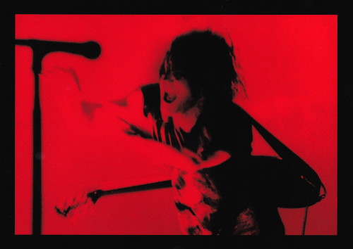 NI | 1994-1995 Self Destruct Tour Photos By Jonathan Rach