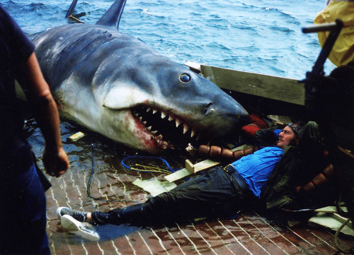  Behind the scenes of Jaws (1975) From the book JAWS: Memories From Martha’s Vineyard 