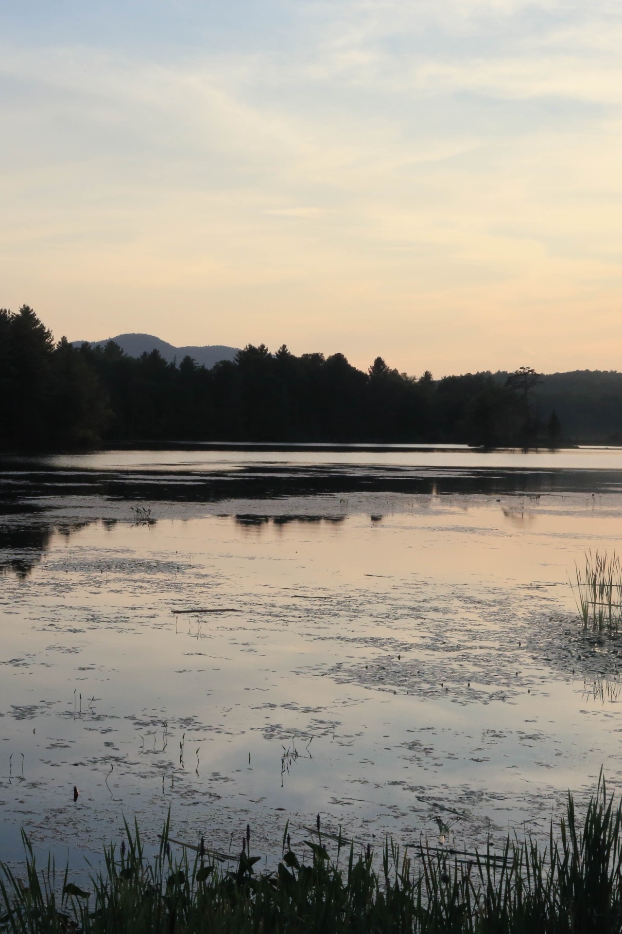 theencompassingworld:  lvndscpe:  Lake | by Kate Tandy This photo as wallpaper on
