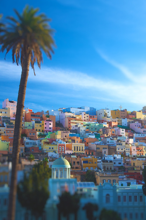 westeastsouthnorth:  Canary Islands, Spain 