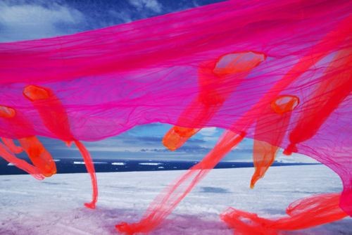 excdus:  “The light is so intense and bright that it modifies the colors throughout the day…while the horizon line blends into a white plane where the sun bounces and never sets.” Andrea Juan Arte en Antártida