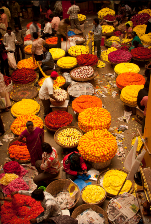 skyandblues:A flower market in Bangladesh captured by photographer Sunil Subramanian.
