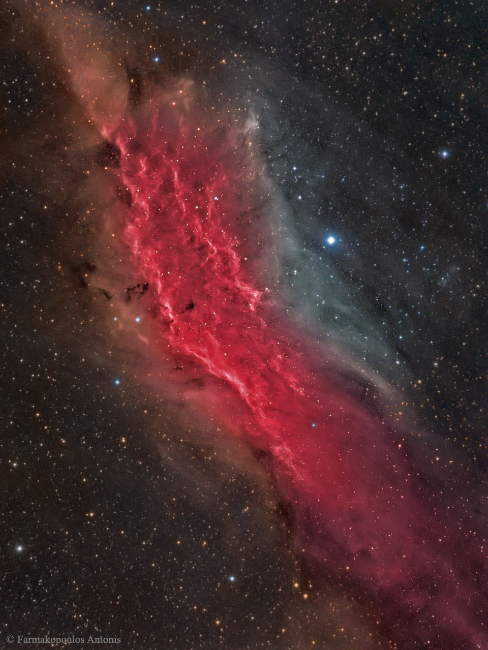 spinningblueball:  NGC-1499 - California Galaxy