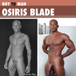titaniumtopper:  boy-to-man:The Boy To Man Collection : Osiris Blade  https://titaniumtopper.tumblr.com/archive