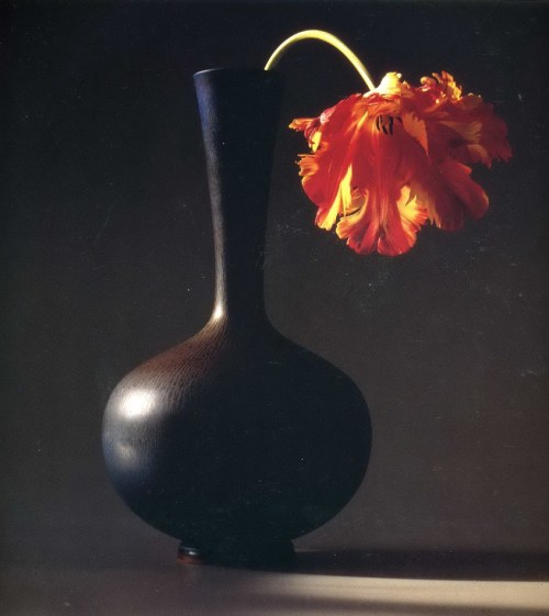 nobrashfestivity:Robert Mapplethorpe, Flowers, 1980smore
