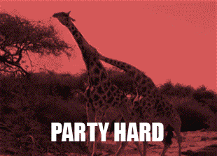 imgfave:  via imgfave for iPhone 