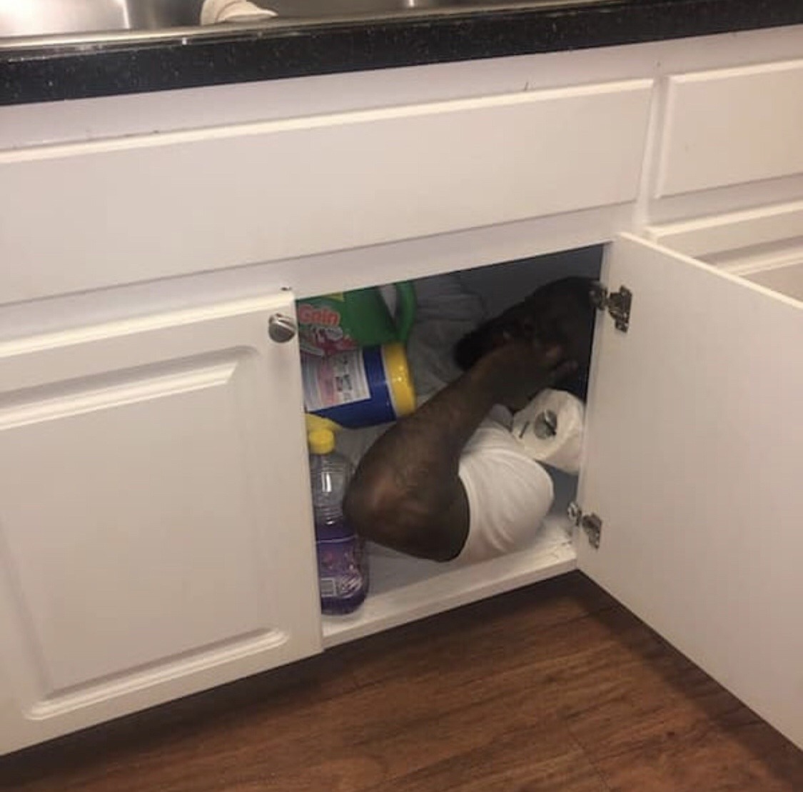 luvmangosdope: adonischildsupportcase:  “Betcha can’t guess my favorite color”