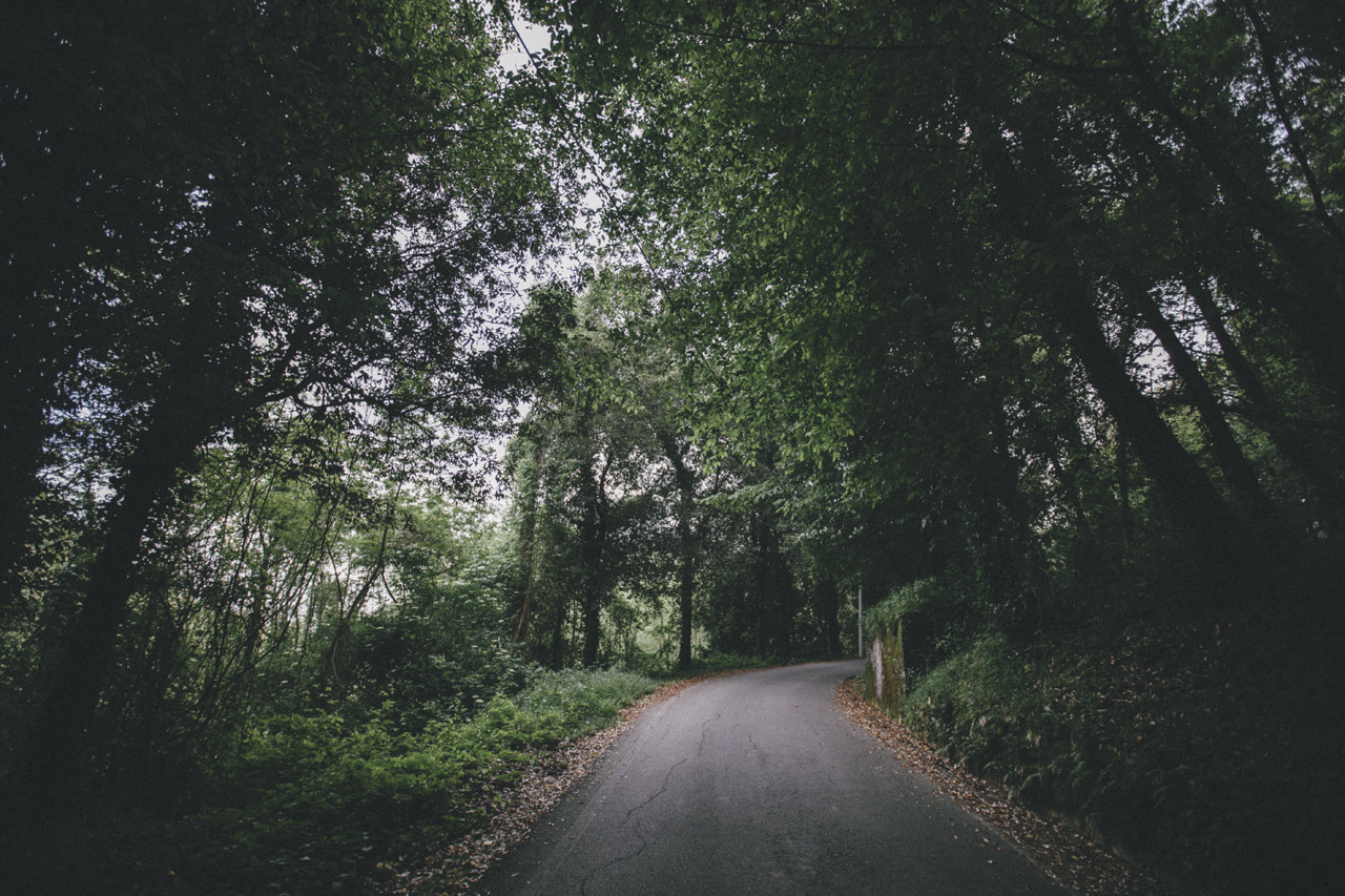 elenamorelli:  { the road to the nearest hill } 